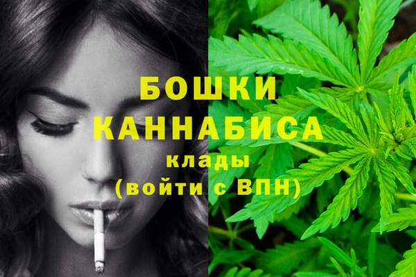 гидропоника Богородск