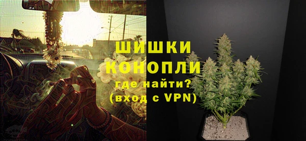 бошки Богданович