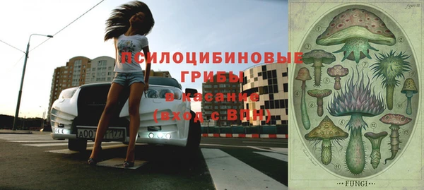 гидропоника Богородск
