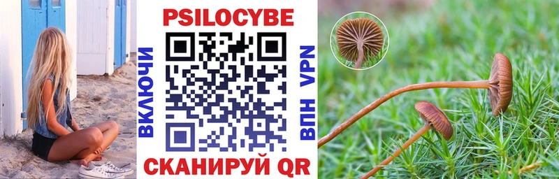 Псилоцибиновые грибы MAGIC MUSHROOMS  Унеча 