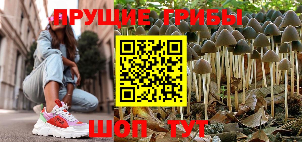 Псилоцибиновые грибы мухоморы  Галлюциногенные грибы Psilocybe  Вход с VPN  Унеча 