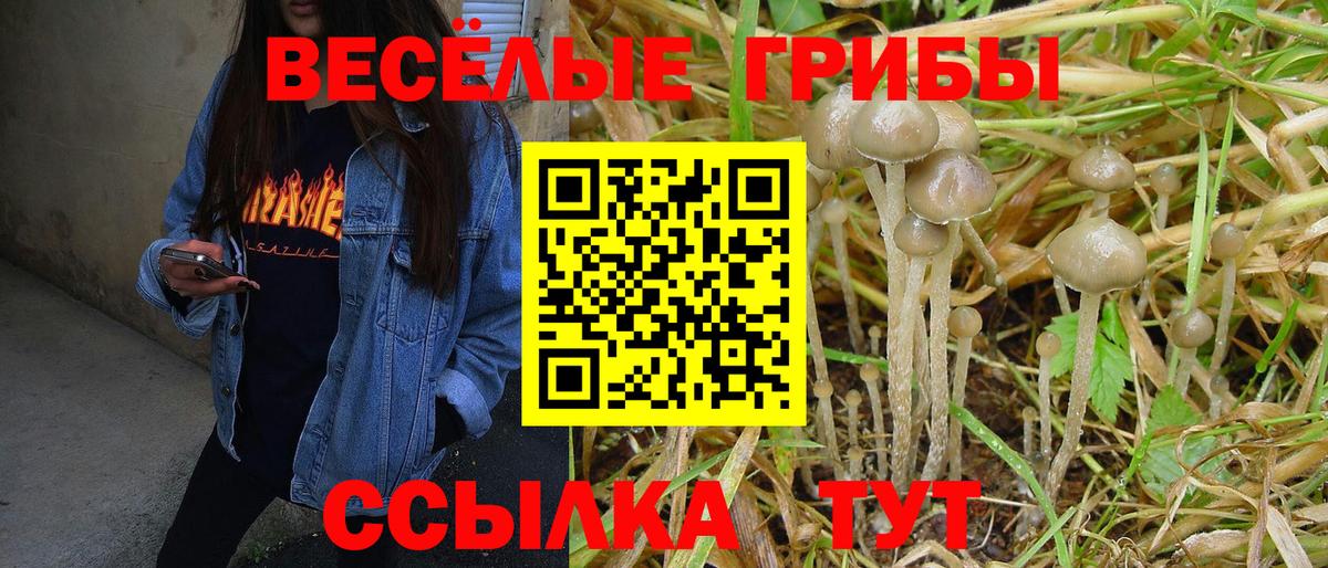 Галлюциногенные грибы мухоморы Унеча